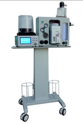 O2 + N2O elettrica chirurgica veterinaria Insturment anestesia macchina con Display SNT 5,5 pollici